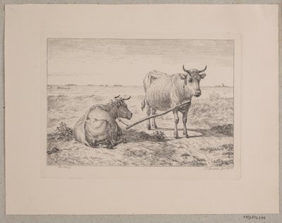 Two Connected Cows by Andreas Peter Madsen
