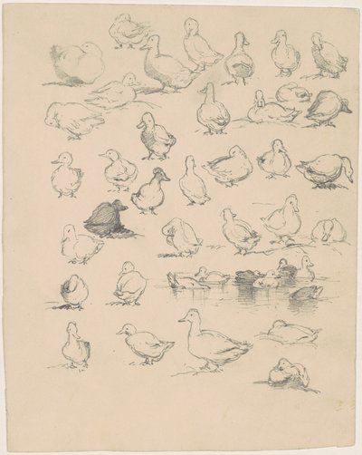 Ducks by Andrew Fisher Bunner