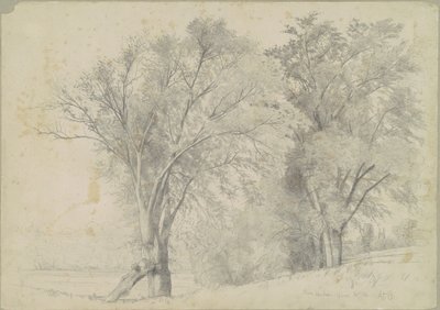 Elms, Hudson by Andrew Fisher Bunner