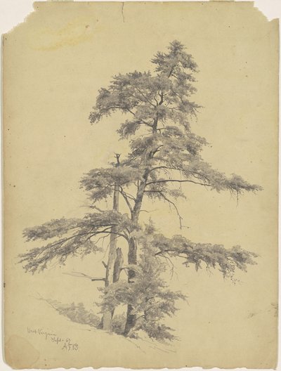 Trees, West Virginia by Andrew Fisher Bunner