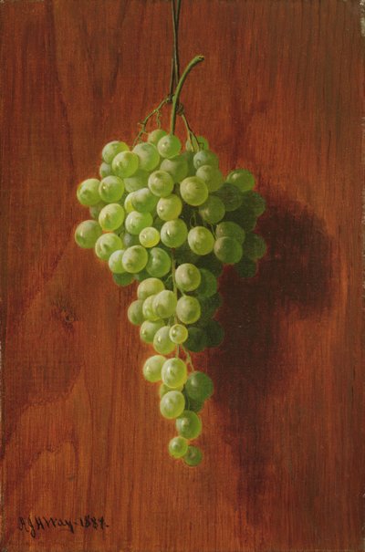 Grapes (Green) by Andrew John Henry Way