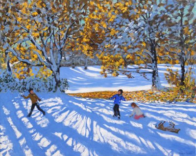 Early Snow, Allestree Park by Andrew Macara