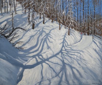 Fir Tree Shadows, Tignes by Andrew Macara