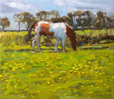 Piebald Horse by Andrew Macara