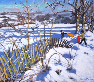 Red and Orange Sledges, Derbyshire by Andrew Macara