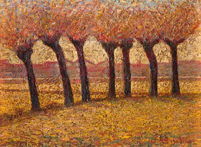 Landscape by Angelo Barabino