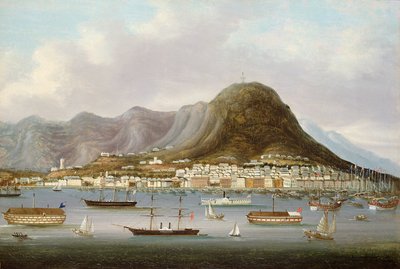 A View of Hong Kong by Anglo Chinese School