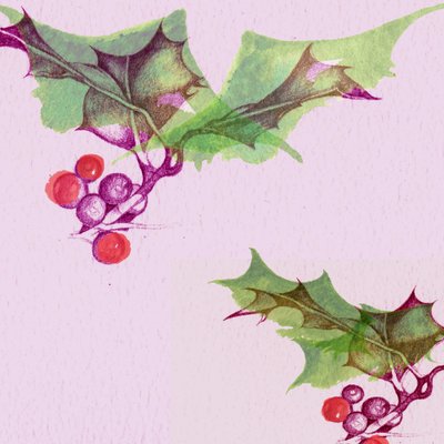 Holly by Anna Platts