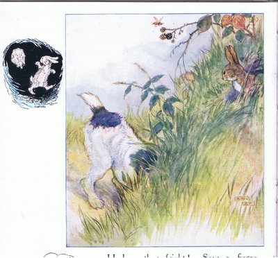 Had a fright by Anne Anderson