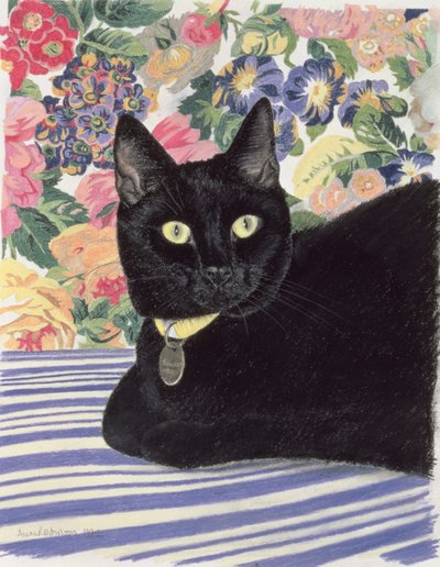 Black Cat by Anne Robinson