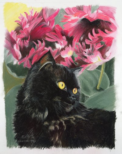 Black Tulips by Anne Robinson