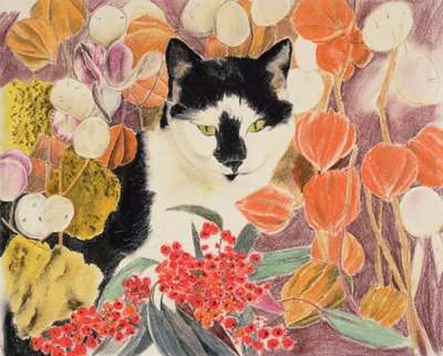 Chinese Lanterns by Anne Robinson
