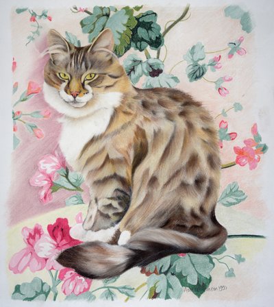 Long Hair Tabby by Anne Robinson