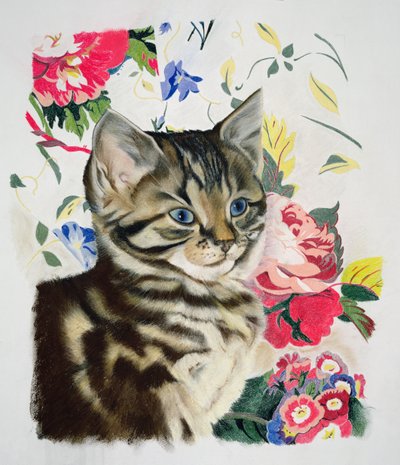 Pepper by Anne Robinson