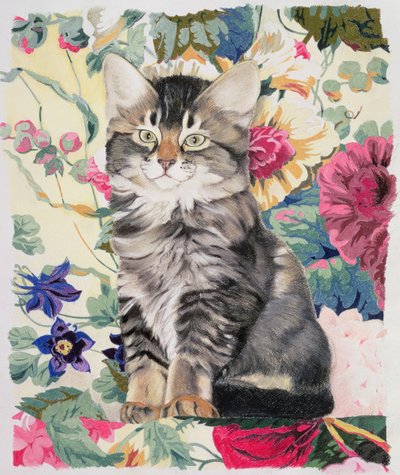Sitting Pretty by Anne Robinson
