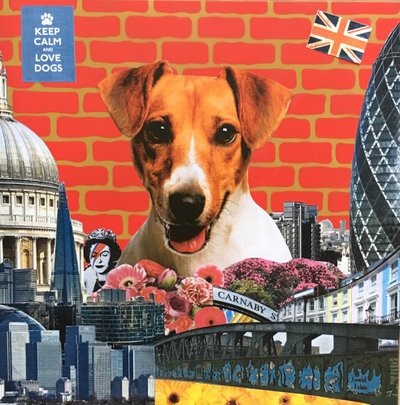 Jack Russel by Anne Storno
