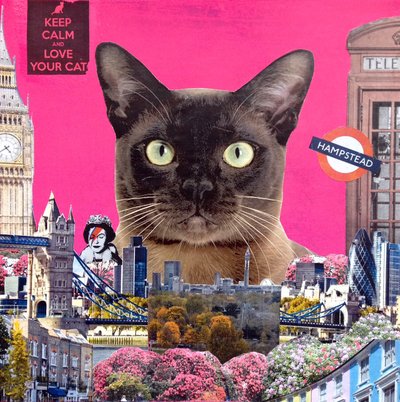 Urban Cat by Anne Storno