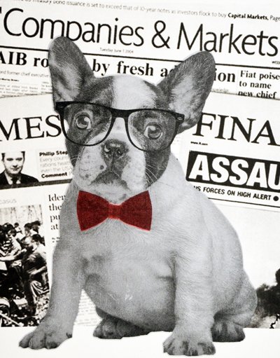 Wall Street Dog by Anne Storno