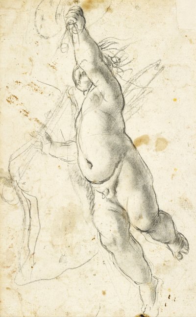 Flying Putto by Annibale Carracci