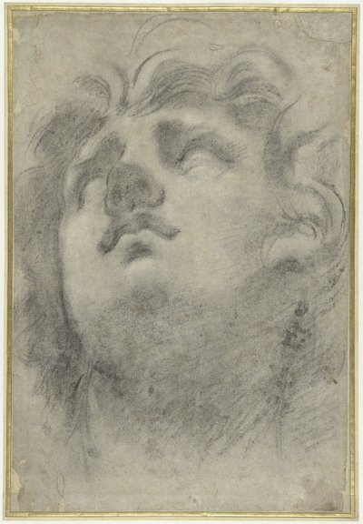 Head of a Triton Looking Up by Annibale Carracci