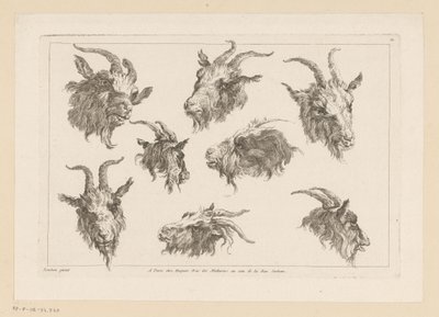 Eight Goat Heads by Anonymous