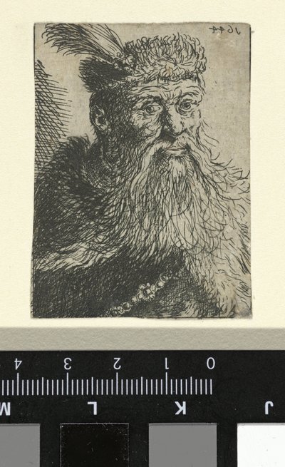 Bust of a Polish Nobleman by Anonymous