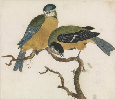 A Blue Tit and a Great Tit on a Branch by Anonymous