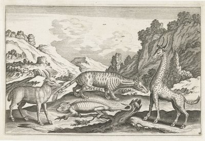 Exotic Animals by Anonymous