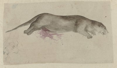 Dead Rodent by Anonymous
