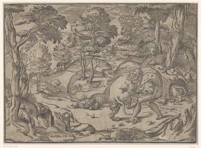 Hercules and the Nemean Lion by Anonymous