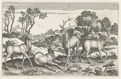 Deer (series: Four-Legged Animals, Animalivm Qvaddrvpedvm) by Anonymous