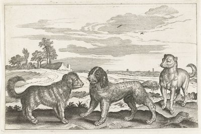 Dogs (Four-Legged Animals) by Anonymous