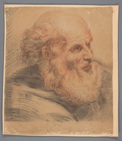 Head of a Bearded Man by Anonymous