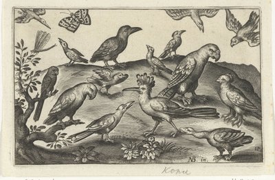 Hoopoe and Other Birds by Anonymous