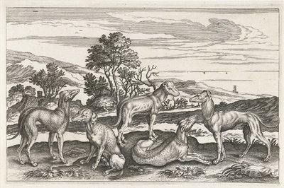 Hunting Dogs by Anonymous