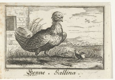 Hen with Chick by Anonymous