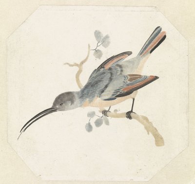 Hummingbird on a Branch to the Left by Anonymous
