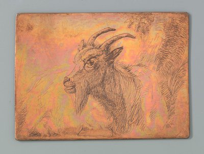 Head of a Goat by Anonymous