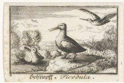 Landscape with Three Snipes by Anonymous