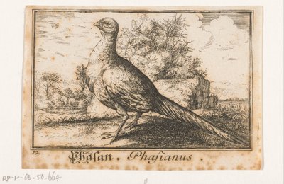 Landscape with Pheasant by Anonymous