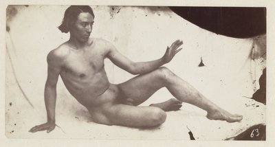 Male nude by Anonymous