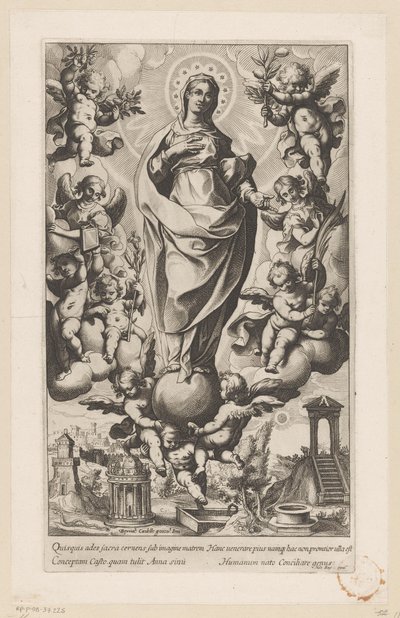 Mary of the Immaculate Conception by Anonymous