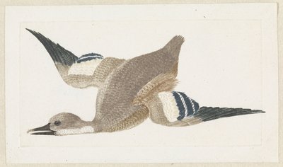 Duck Flying to the Left by Anonymous
