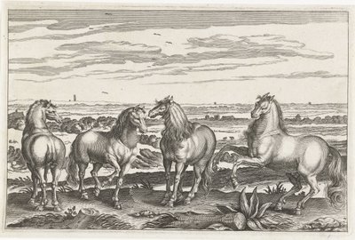 Horses (series title) Animalivm Qvaddrvpedvm (series title) by Anonymous