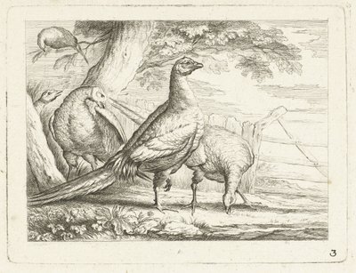 Pecking Chickens (Native Birds) by Anonymous