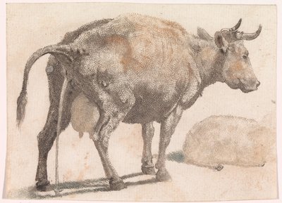 Pissing cow by Anonymous