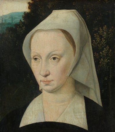 Portrait of a Woman by Anonymous