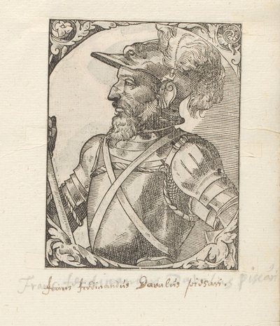 Portrait of Fernando d