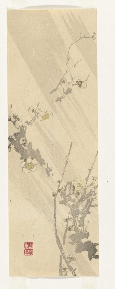Plum Blossom by Anonymous