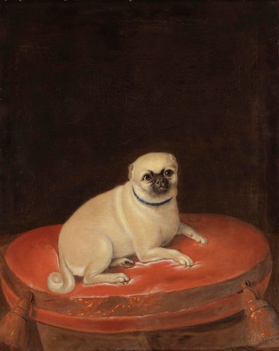 Pug by Anonymous